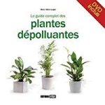 Le guide complet des plantes dépolluantes vignette